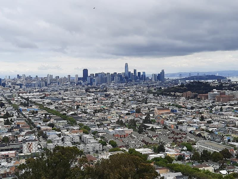 Bernal Heights Dog Play Area - Dog Park in San Francisco, CA | Indoor Dog Park
