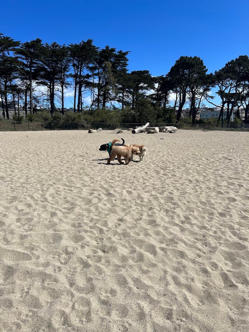 Golden Gate Park Dog Training Area - Dog Park in San Francisco, CA | Indoor Dog Park