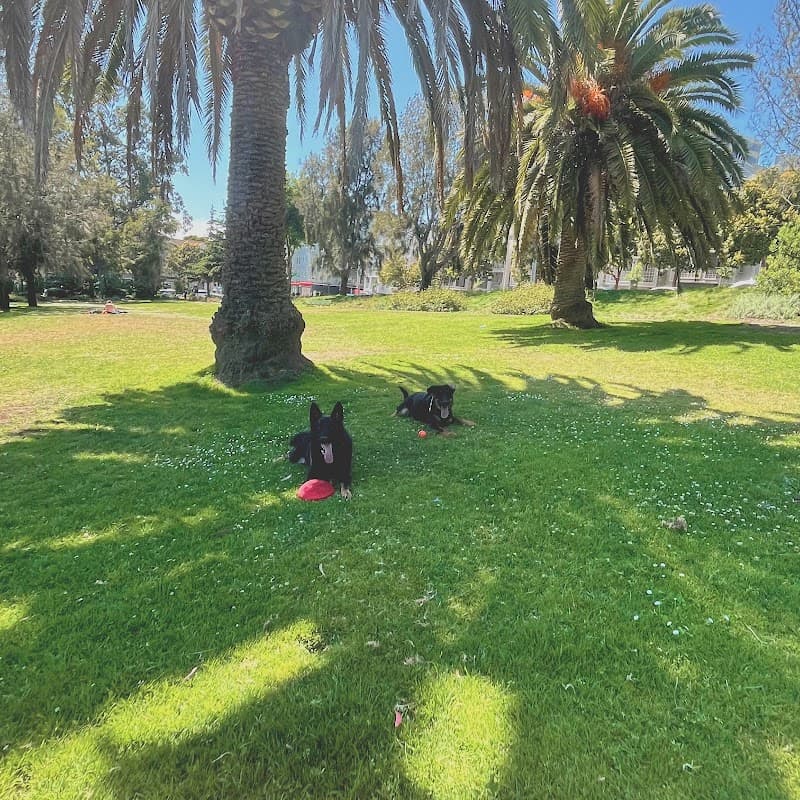 Jefferson Square Dog Play Area - Dog Park in San Francisco, CA | Indoor Dog Park