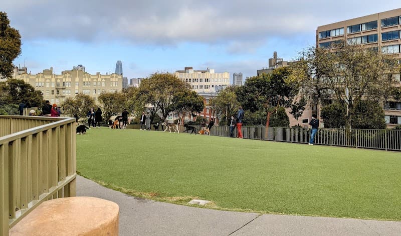 Lafayette Park Dog Play Area - Dog Park in San Francisco, CA | Indoor Dog Park