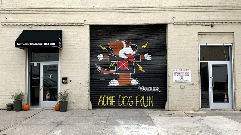 Acme Dog Run - Dog-Friendly Establishment in Brooklyn, NY | Indoor Dog Park