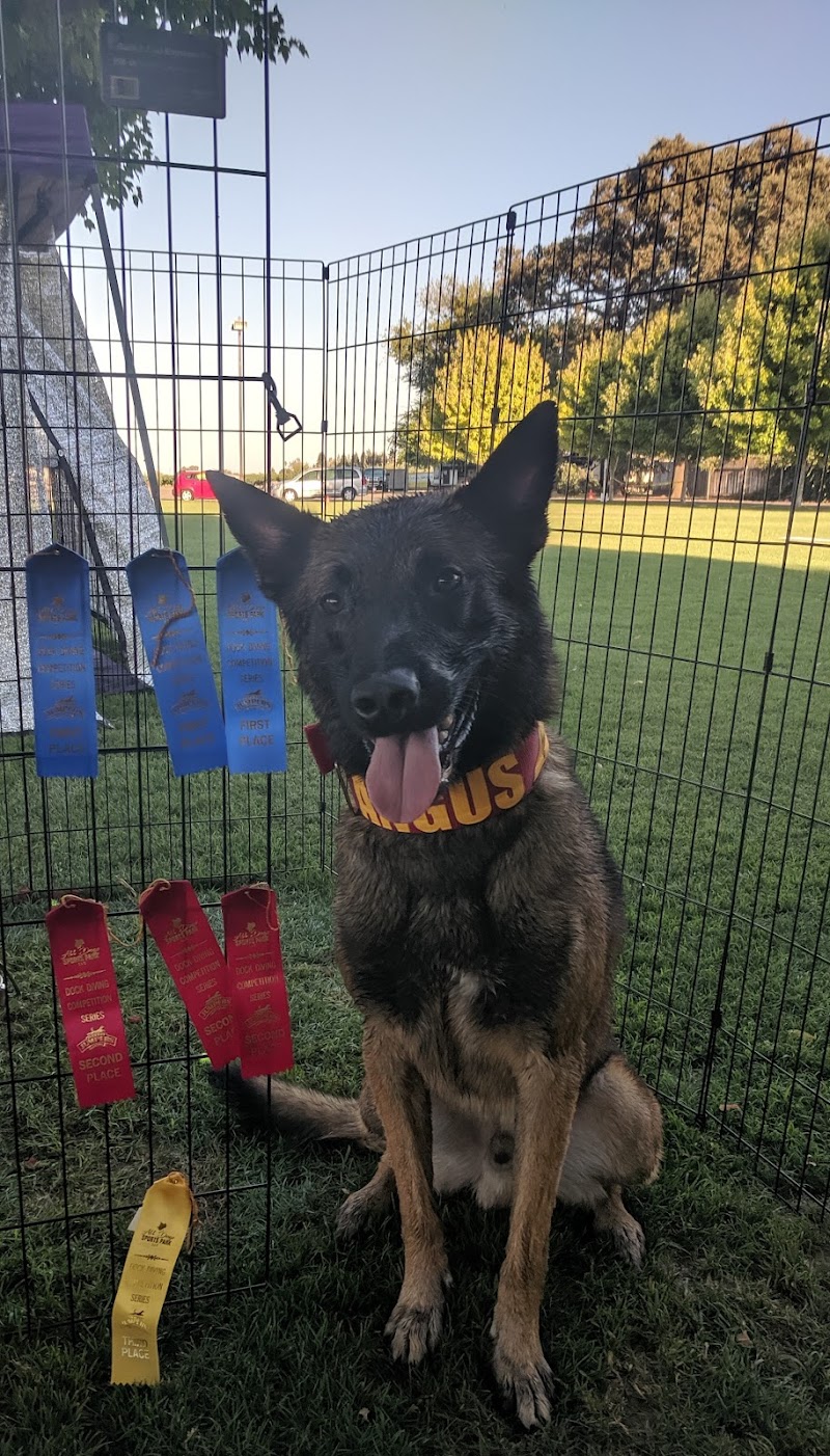 All Dogs Sports Park, LLC - Dog Park in Lodi, CA | Indoor Dog Park