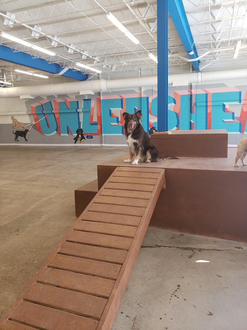 Unleashed Hounds and Hops photo 3