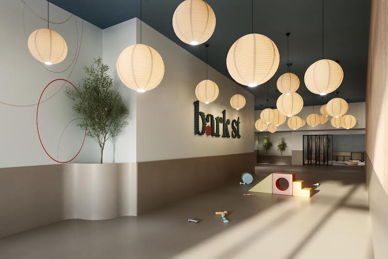 Bark Street - Dog Daycare & Grooming - Dog-Friendly Establishment in New York, NY | Indoor Dog Park