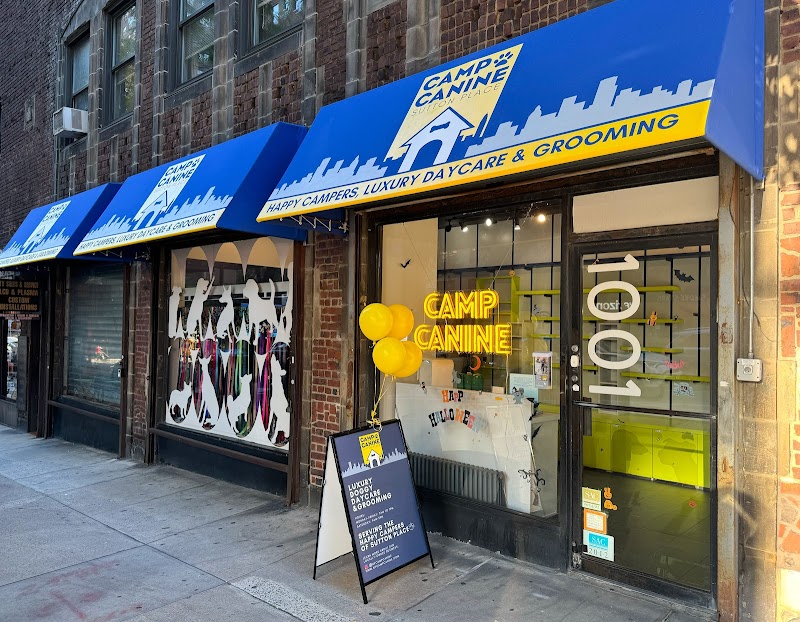 Camp Canine Sutton Place - Dog-Friendly Establishment in New York, NY | Indoor Dog Park