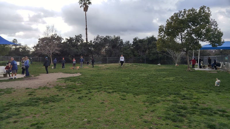 Alice's Dog Park - Dog Park in Pasadena, CA | Indoor Dog Park