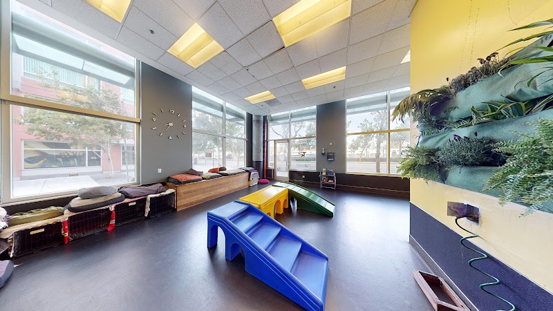 Bark Avenue Doggy Day Care - Dog Park in San Francisco, CA | Indoor Dog Park