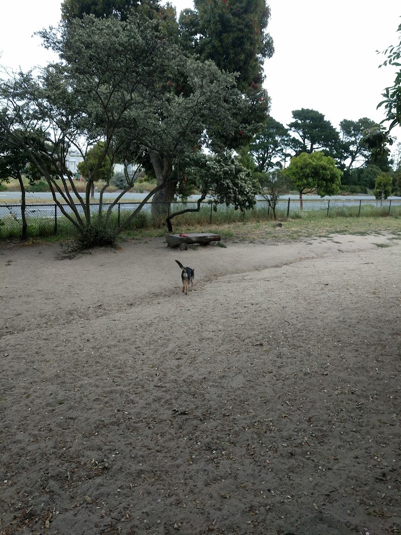 Brotherhood & Alemany Dog Play Area - Dog Park in San Francisco, CA | Indoor Dog Park