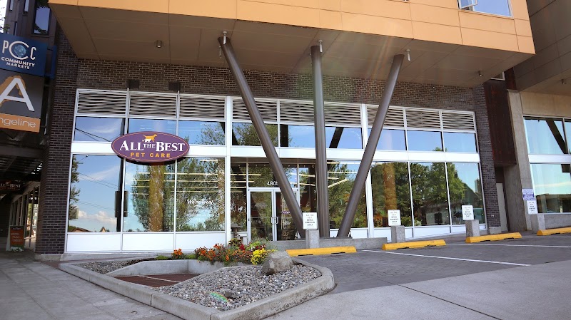 All The Best Pet Care - Columbia City - Indoor Dog Park in Seattle, WA | Indoor Dog Park